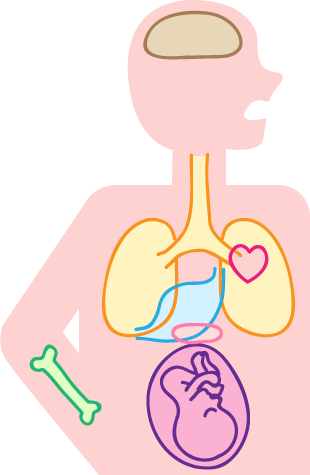 歯周病が全身に与える影響｜ないとうファミリー歯科クリニック