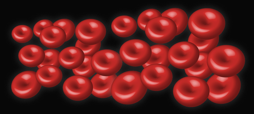 ヘモグロビン｜福岡市ないとうファミリー歯科